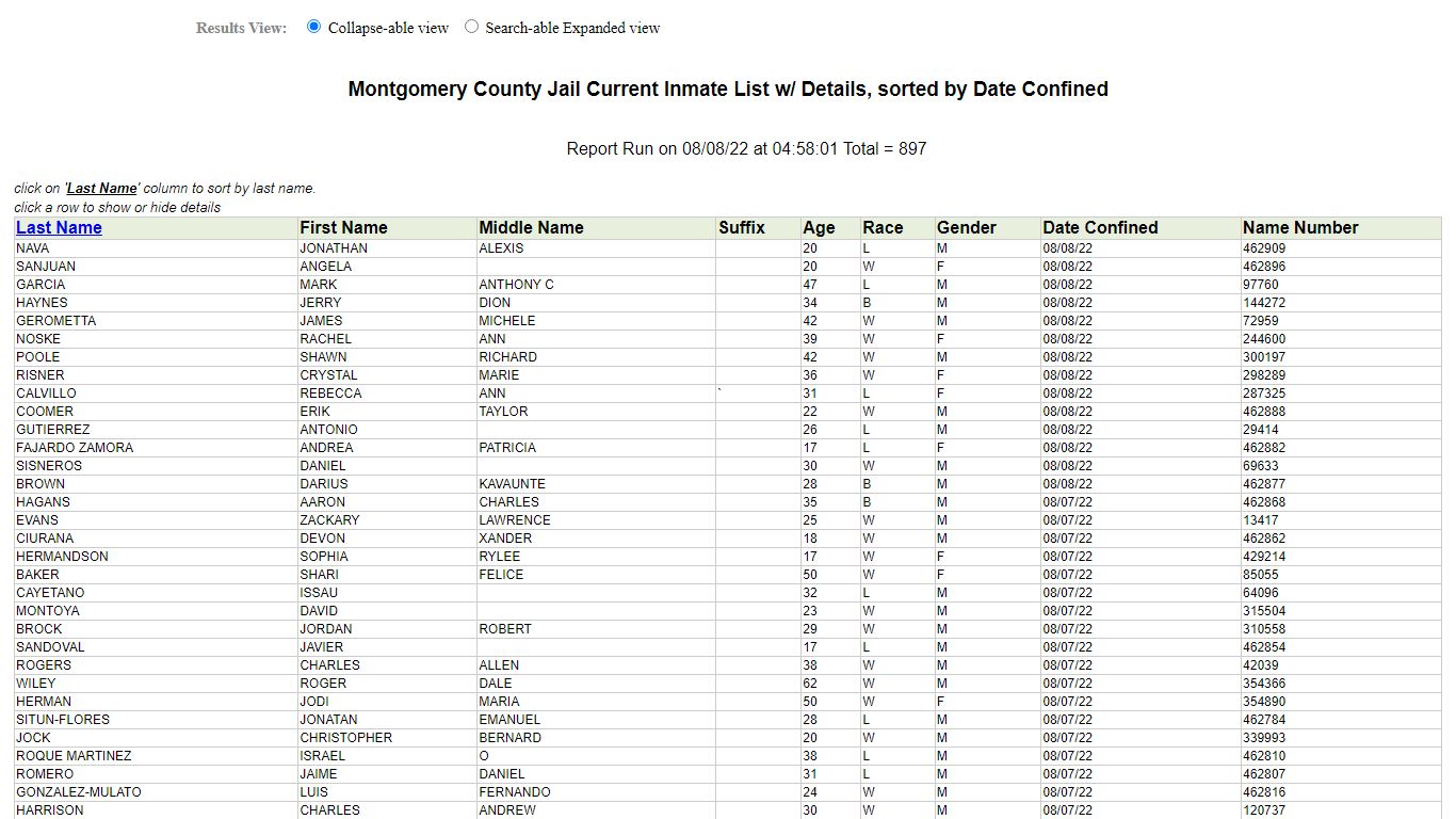 Jail Roster - Montgomery County, Texas